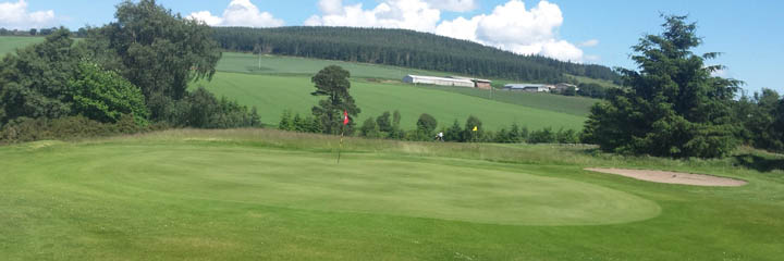The 11th green of Alness Golf Club with the 6th green behind