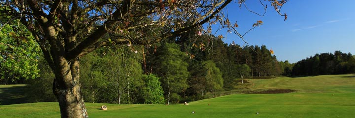 A view of the Rosemount course at Blairgowrie Golf Club