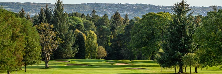 A view of Cardross Golf Club showing the mature trees that line the course