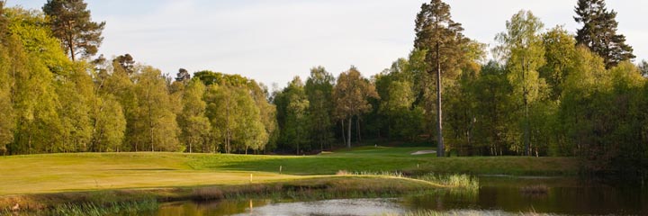 A view of Dougalston golf course