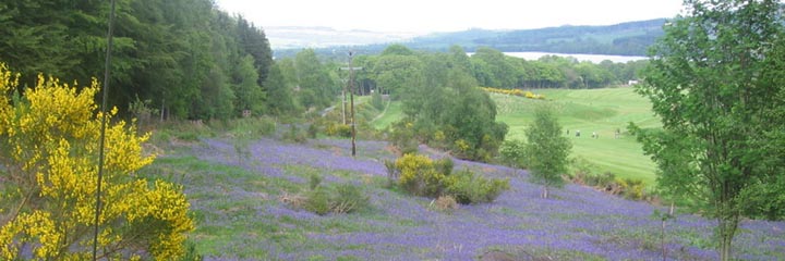 A view of Dunkeld and Birnam golf course