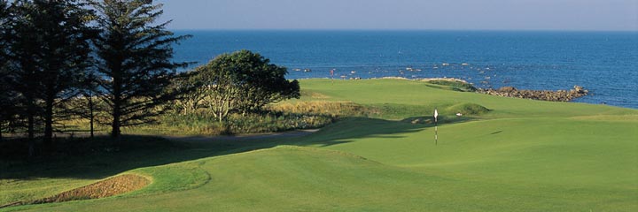 The 8th hole at Kingsbarns Golf Links