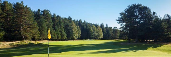 A view of Ladybank golf course