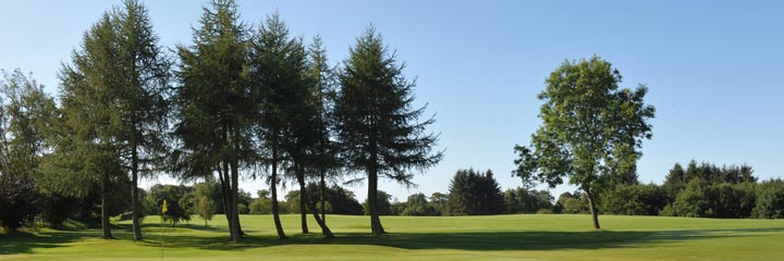 Looking across Milnathort Golf Club mature trees beyond one of the greens