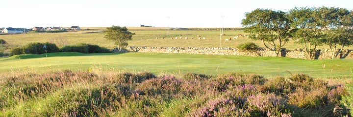 The 6th green, Orkney Golf Club